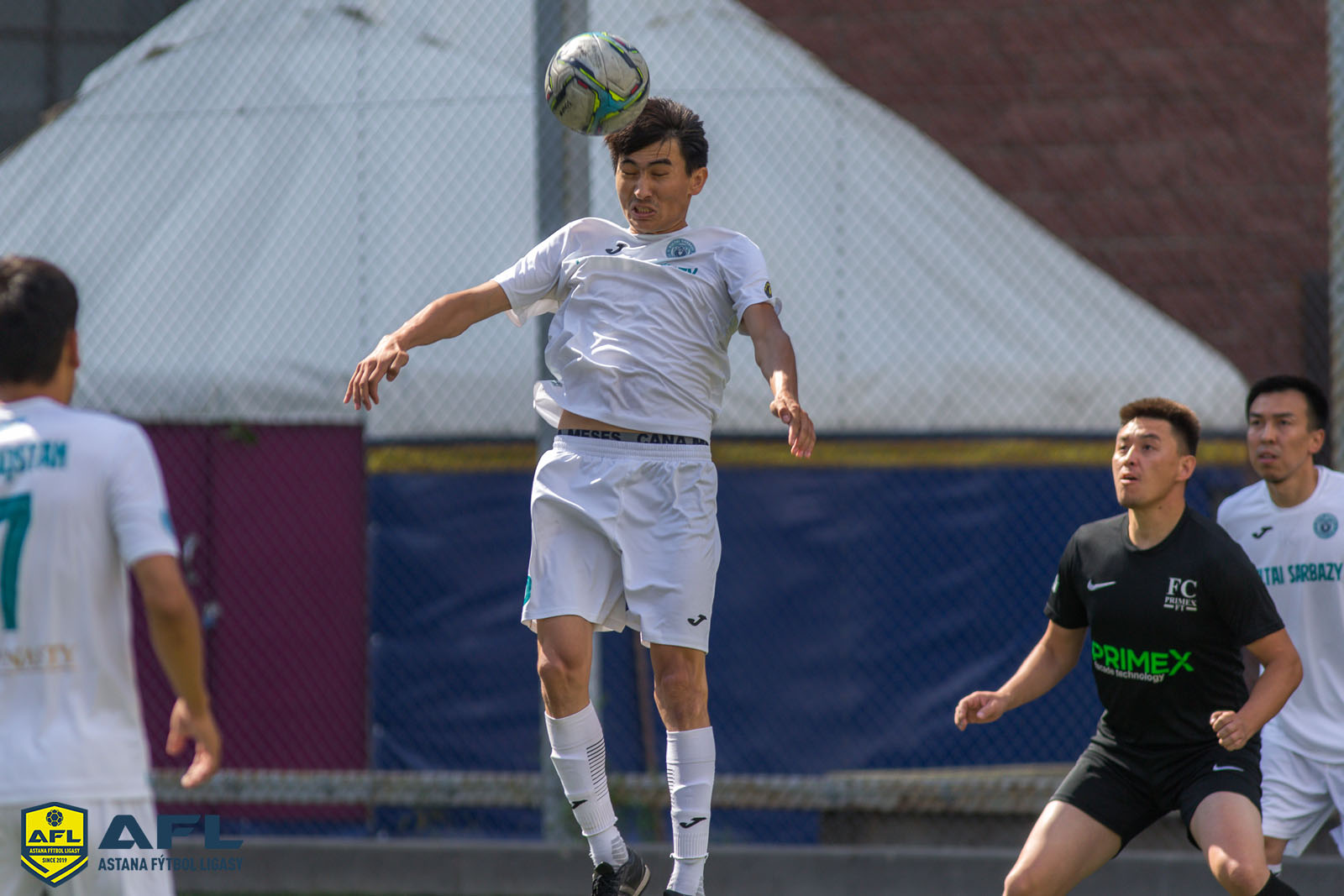 IMG 7197