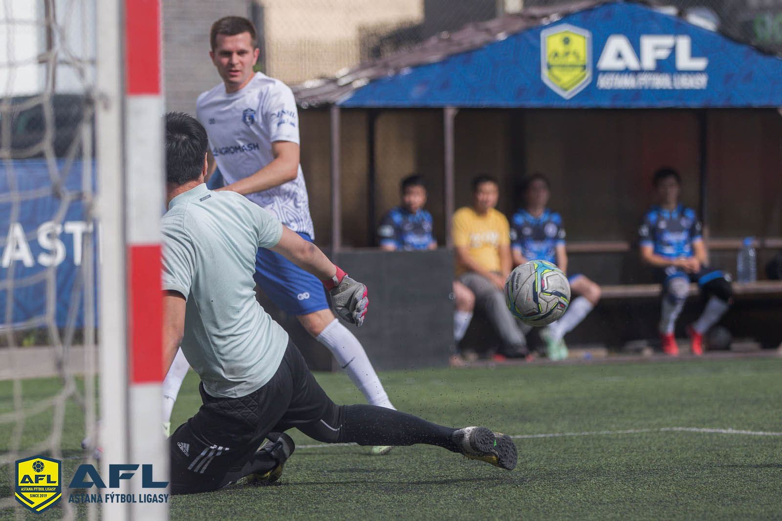 IMG 1311