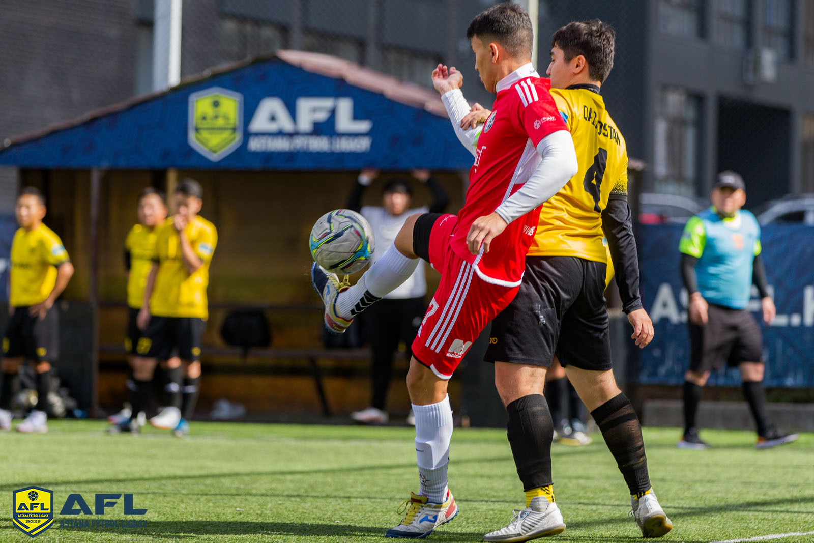 IMG 2748