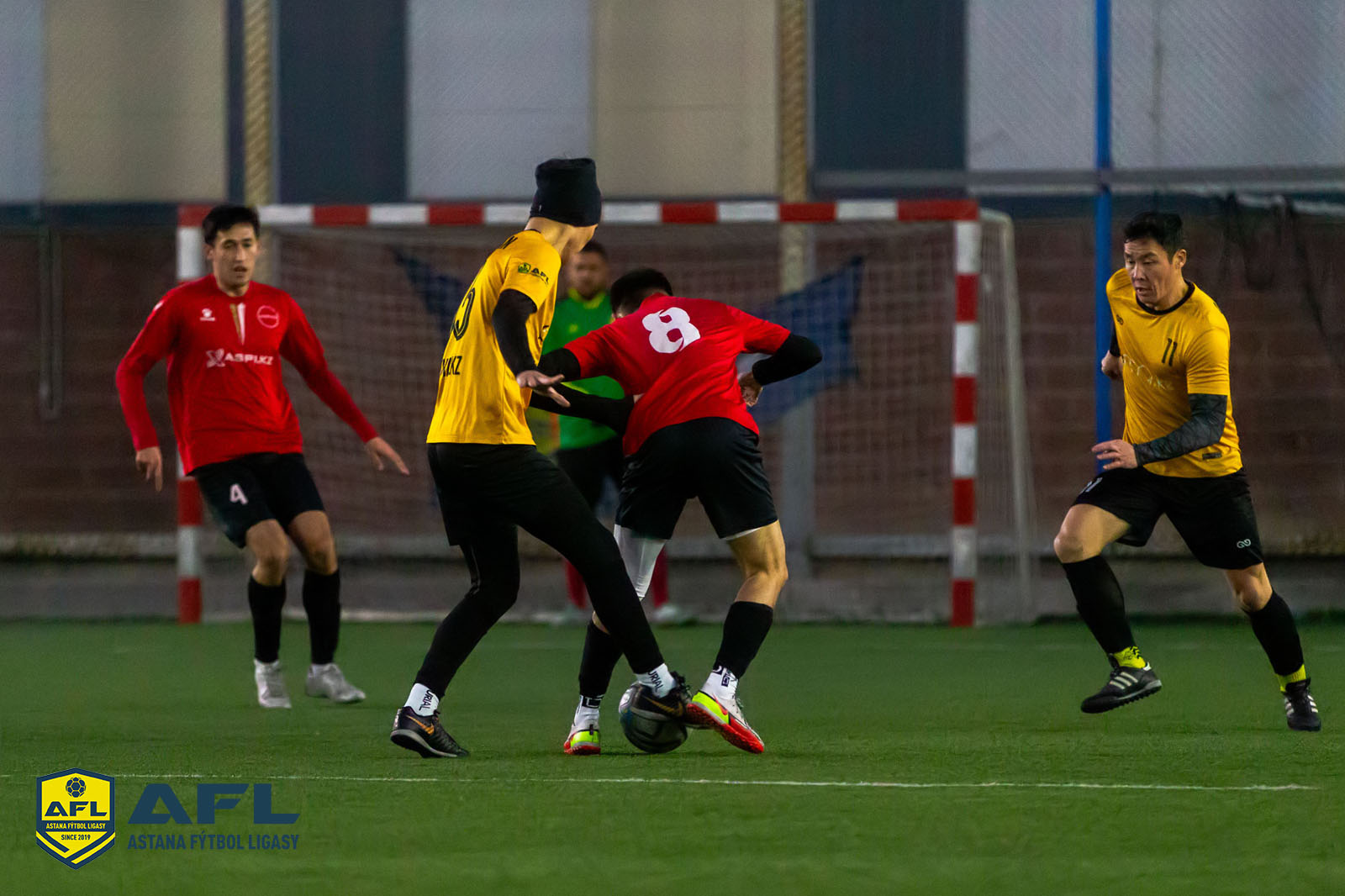 IMG 2201