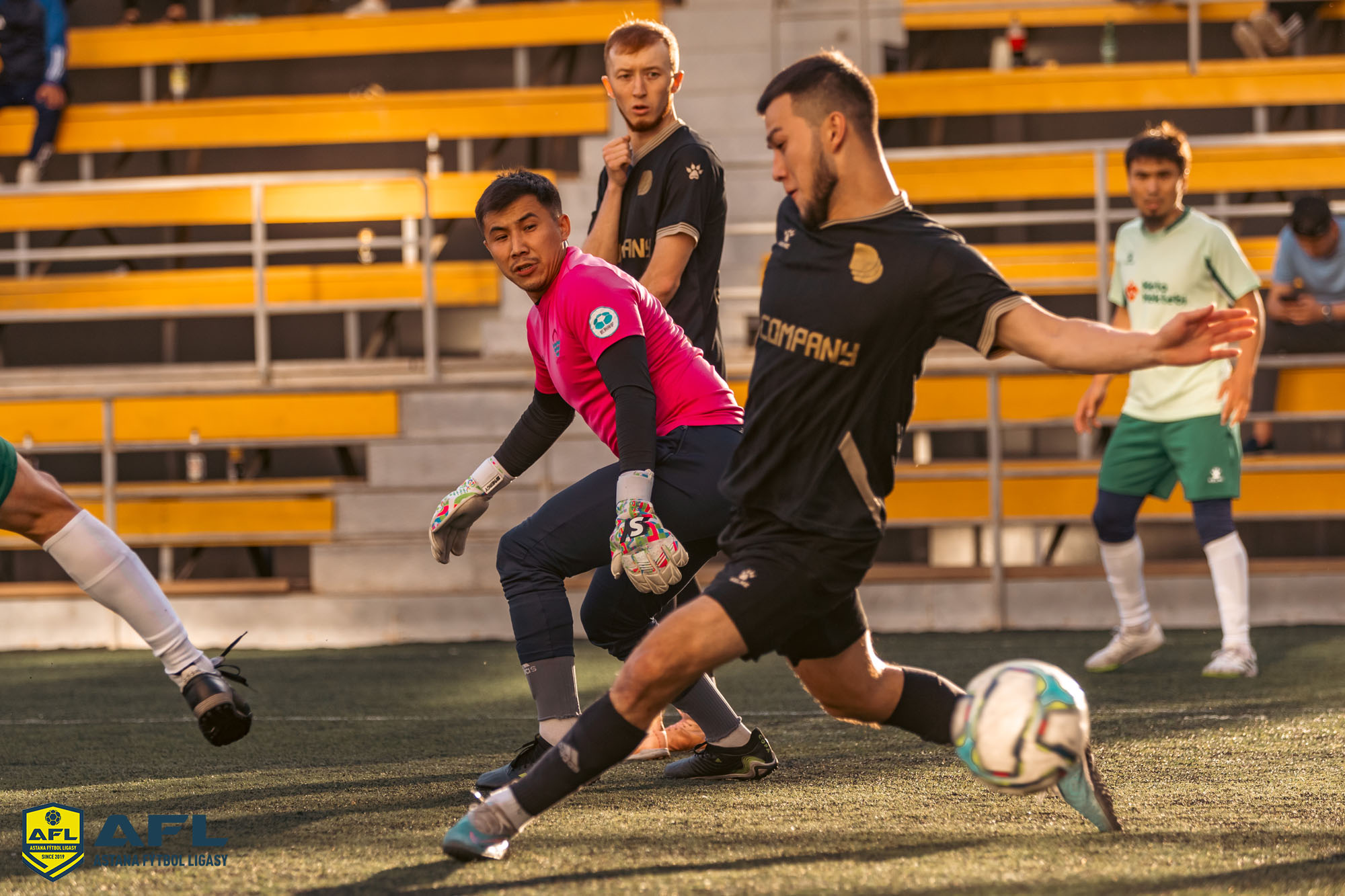 IMG 4699