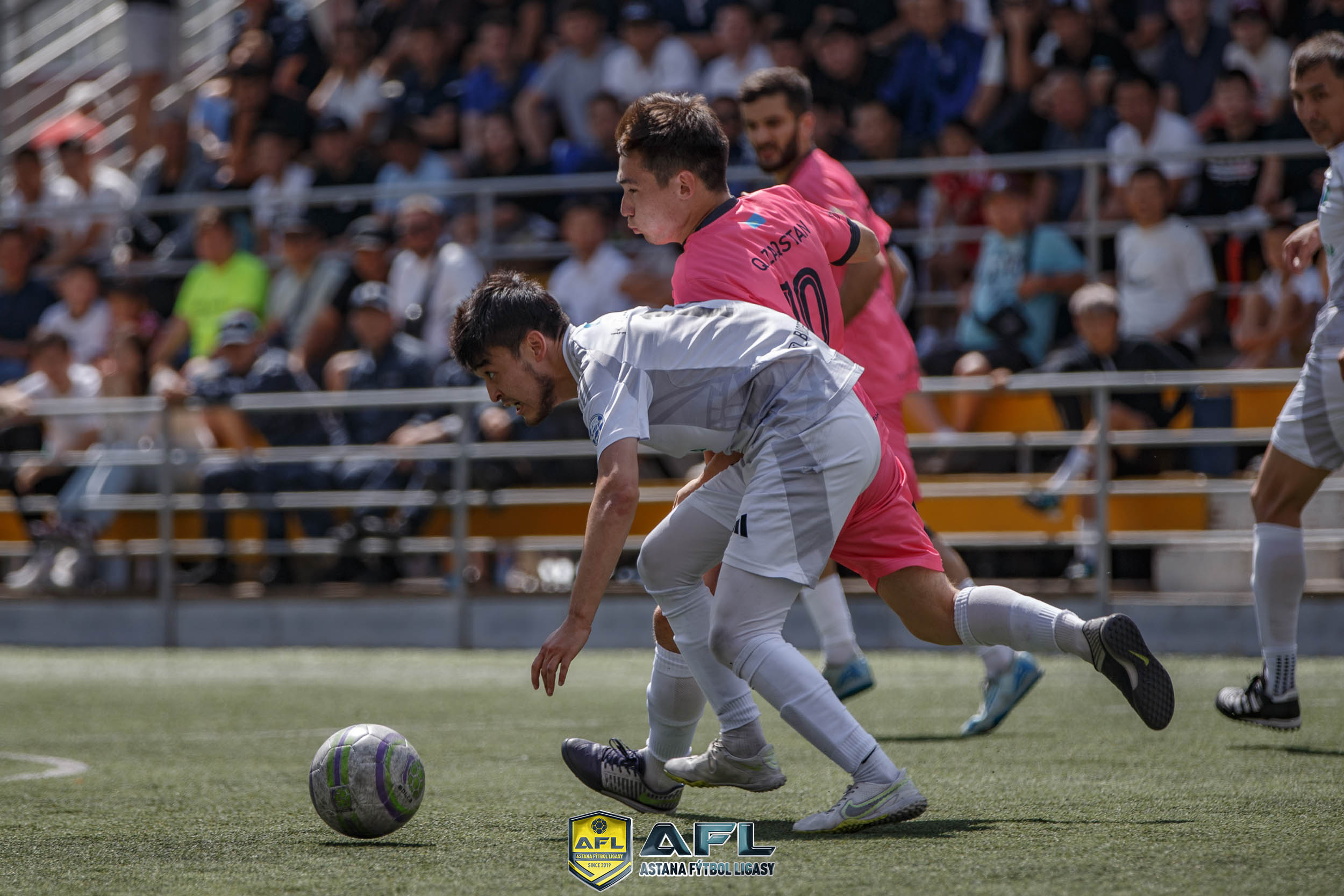 IMG 7909