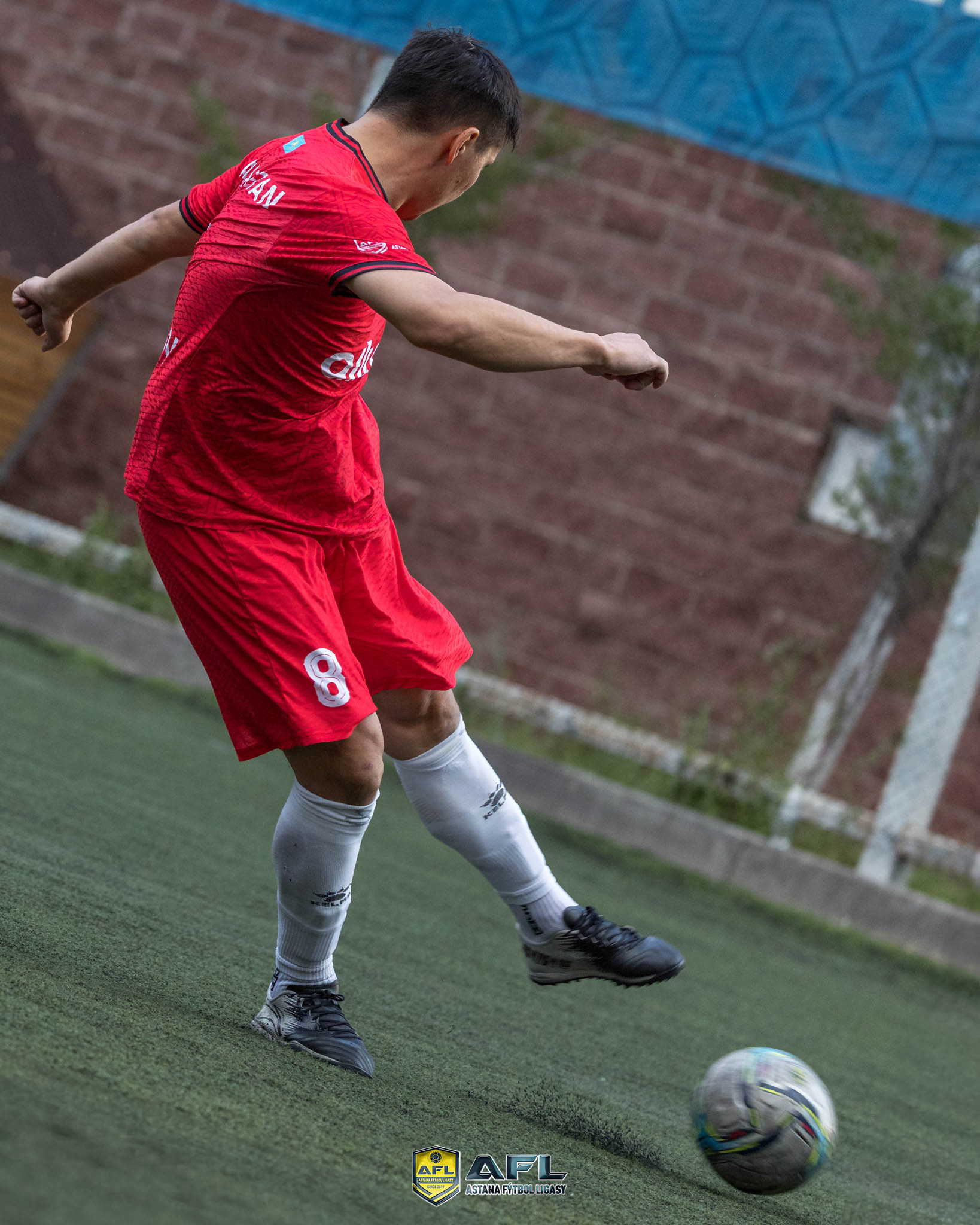 IMG 4528
