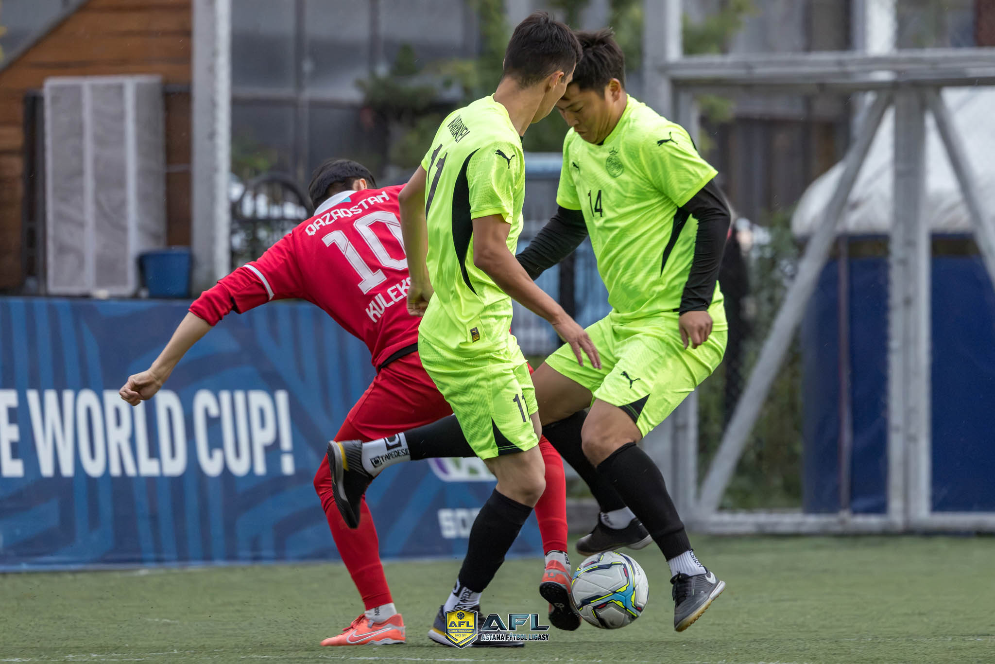 IMG 6675