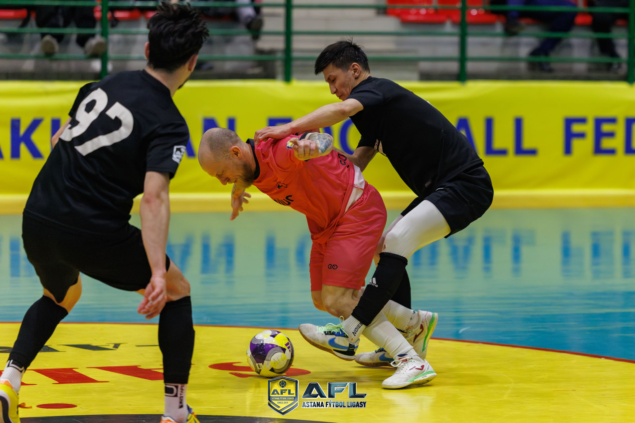 IMG 7992